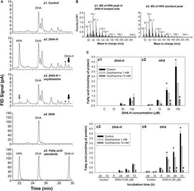 2-Hydroxy-Docosahexaenoic Acid Is Converted Into Heneicosapentaenoic Acid via α-Oxidation: Implications for Alzheimer’s Disease Therapy